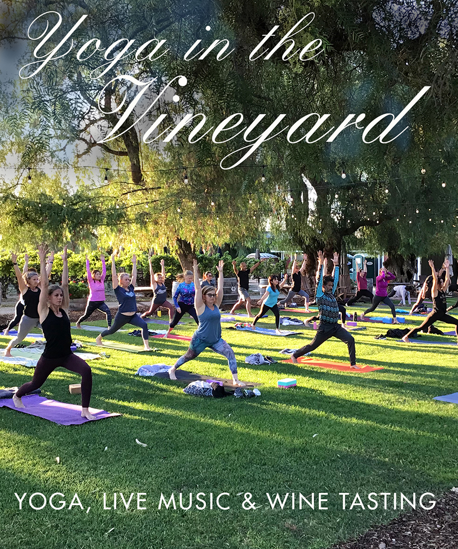 Yoga in the Vineyard