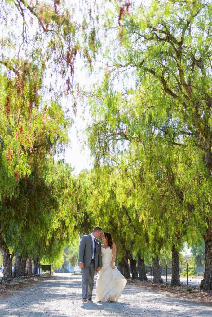 Bride and groom in trees