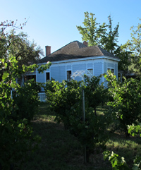 Restored House and vineyard