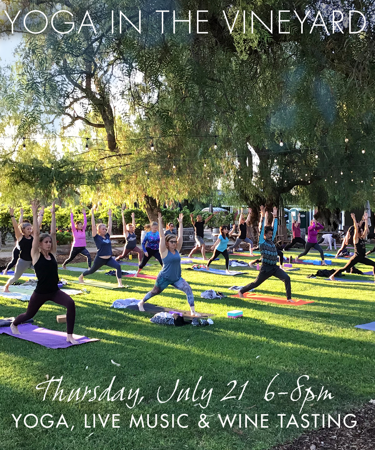 Yoga in the vineyard July 21 2022